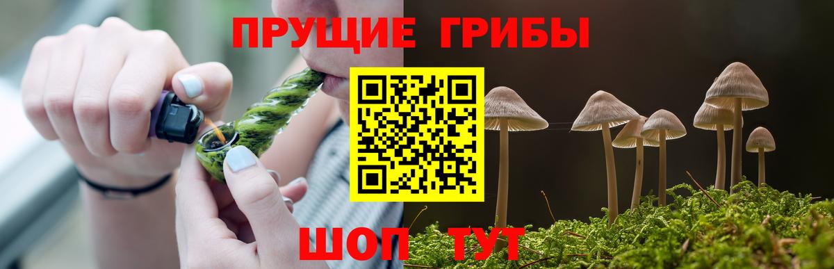 Псилоцибиновые грибы мухоморы Лосино-Петровский