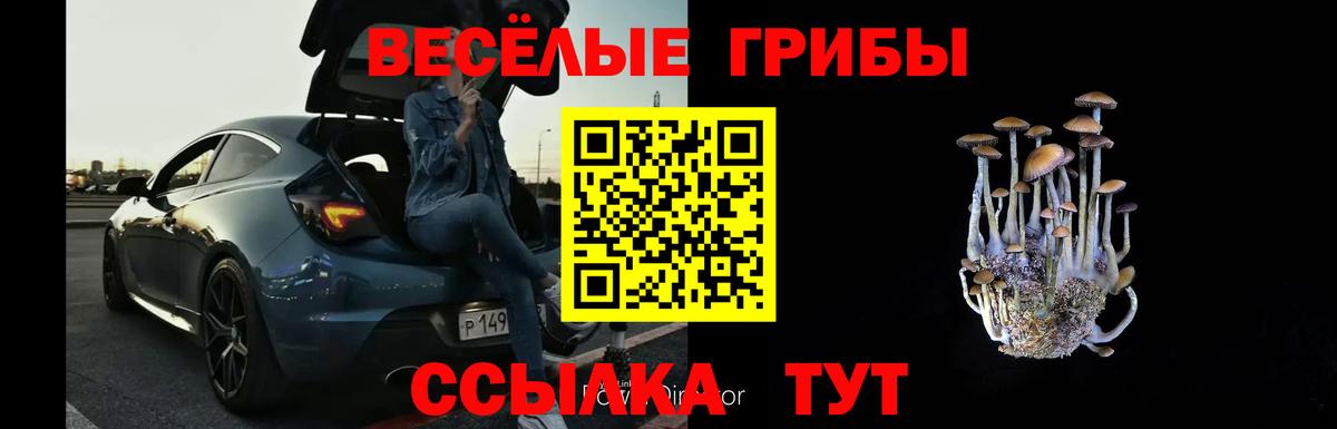 Галлюциногенные грибы GOLDEN TEACHER  Галлюциногенные грибы мухоморы  Вход с VPN  Лосино-Петровский 